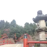 室生寺の写真・動画_image_170199