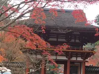 室生寺の写真・動画_image_170220