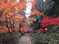室生寺の写真・動画_image_170225