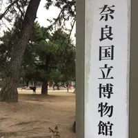 奈良国立博物館の写真・動画_image_170394