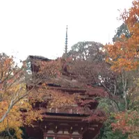 浄瑠璃寺の写真・動画_image_170396