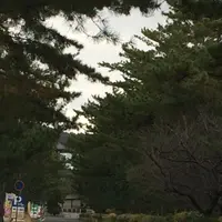 奈良ワシントンホテルプラザの写真・動画_image_170540