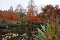 北川村「モネの庭」マルモッタンの写真・動画_image_171710