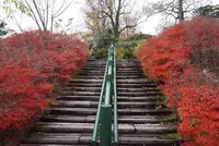 北川村「モネの庭」マルモッタンの写真・動画_image_171723