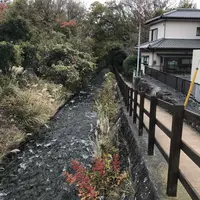 城ケ崎つり橋（門脇灯台）の写真・動画_image_171983