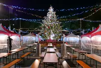 名古屋クリスマスマーケットの写真・動画_image_172649