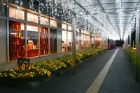 セントラルガーデンの写真・動画_image_172911