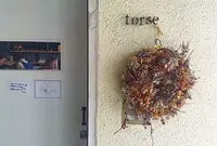 torse （トルス）の写真・動画_image_173784
