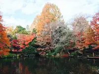上尾丸山公園の写真・動画_image_17463