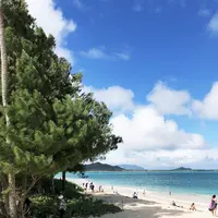 Kailua Beach Park（カイルア・ビーチ・パーク）の写真・動画_image_174773