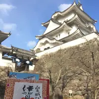 上野城の写真・動画_image_175368