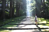 平泉寺白山神社の写真・動画_image_175856