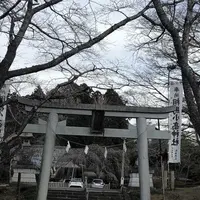 相馬小高神社の写真・動画_image_176103