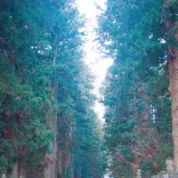 北口本宮冨士浅間神社の写真・動画_image_176417