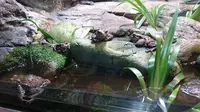 井の頭自然文化園 分園の写真・動画_image_176441