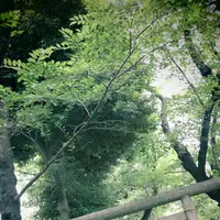 松陰神社の写真・動画_image_176716