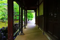 豪徳寺の写真・動画_image_176718