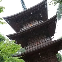 豪徳寺の写真・動画_image_176719