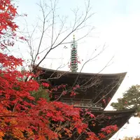 豪徳寺の写真・動画_image_176725