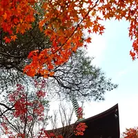 豪徳寺の写真・動画_image_176729