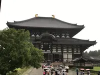 東大寺の写真・動画_image_177047