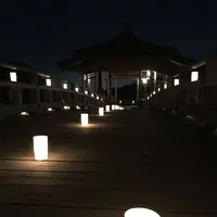 奈良公園 浮見堂の写真・動画_image_177079