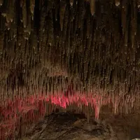 玉泉洞の写真・動画_image_177536
