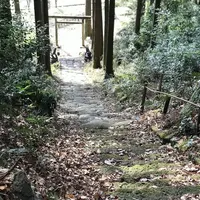 岩戸神社の写真・動画_image_177688