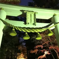 宝登山神社の写真・動画_image_178014