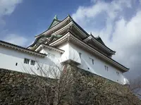 和歌山城の写真・動画_image_179527