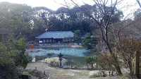 浄瑠璃寺の写真・動画_image_179921