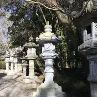 香取神宮の写真・動画_image_180325