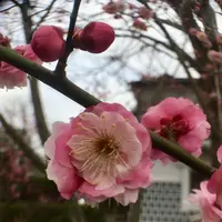 鈴廣 かまぼこの里の写真・動画_image_181057