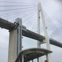 新湊大橋の写真・動画_image_183782