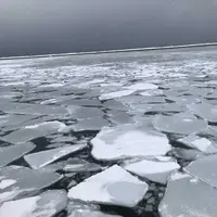 流氷砕氷船 ガリンコ号2の写真・動画_image_184143