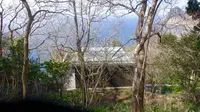 Izu Cliff Houseの写真・動画_image_184674