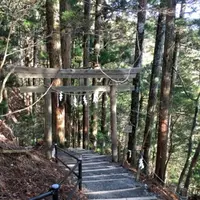 玉置神社の写真・動画_image_184777