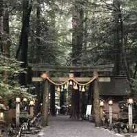 椿大神社の写真・動画_image_185230
