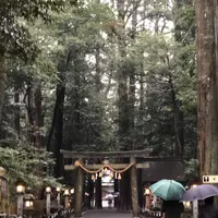椿大神社の写真・動画_image_185235