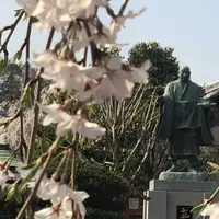 埼玉狭山市広瀬神社の写真・動画_image_186996