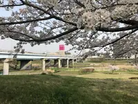 埼玉県狭山市新富士見橋の写真・動画_image_187009