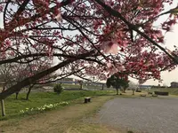 埼玉県狭山市新富士見橋の写真・動画_image_187010