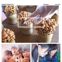 原田農園の写真・動画_image_187034