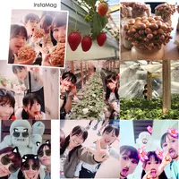 原田農園の写真・動画_image_187037