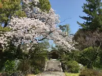 太清寺の写真・動画_image_187186