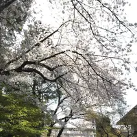 勝川天神社の写真・動画_image_187191