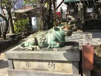 高牟神社の写真・動画_image_187214