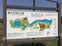石神井公園の写真・動画_image_187443