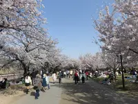 大阪城公園の写真・動画_image_187565
