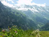 ミューレンの写真・動画_image_187721